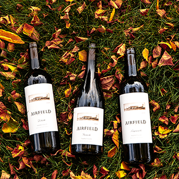11.14.24 Vancouver Wine Club Party