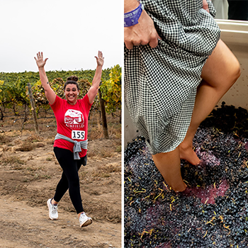 Vineyard Run and Grape Stomp Package