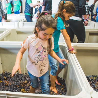  Grape Stomp Youth